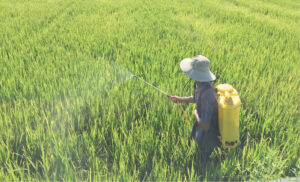Sử dụng thuốc bảo vệ thực vật an toàn và hiệu quả