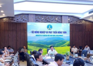 Tháng 8, toàn ngành nông nghiệp tập trung thực hiện các chiến lược phát triển ngành