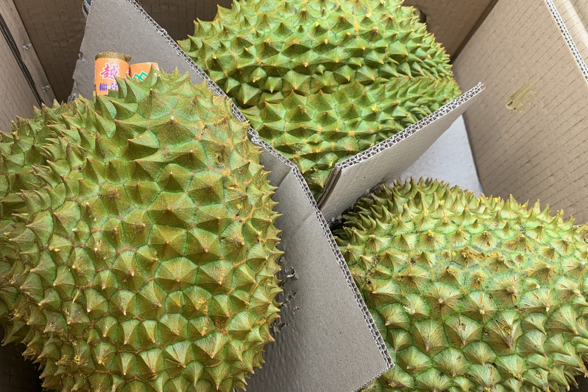 Trị giá xuất khẩu hàng rau quả sang thị trường Trung Quốc đạt 2,3 tỷ USD