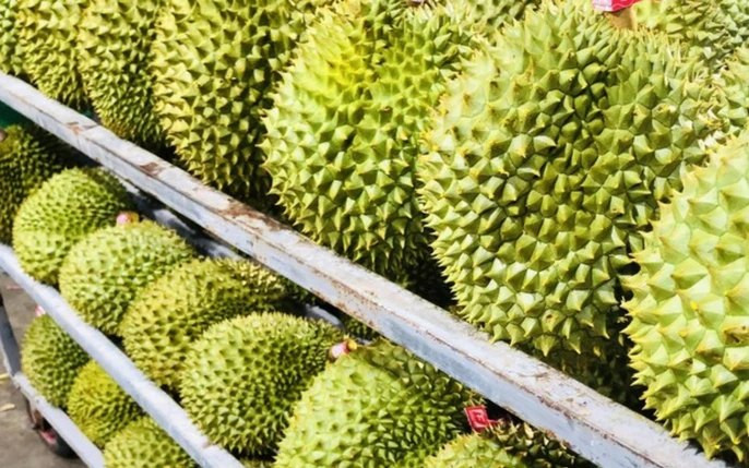 Việt Nam xuất siêu 24,59 tỷ USD trong 10 tháng